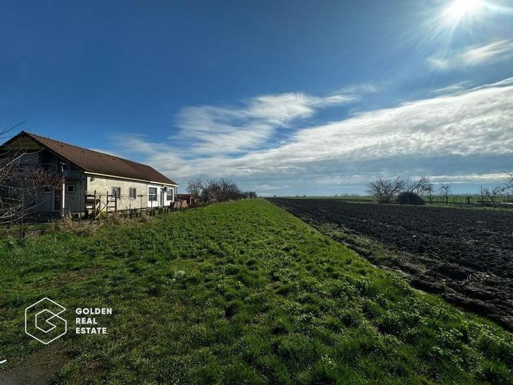Teren agricol extravilan de 5700 mp, în Sânpaul