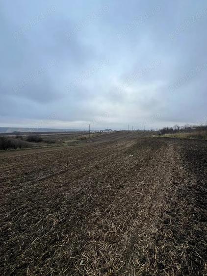 Teren de 23400 mp, în Central