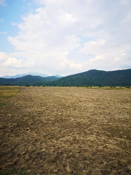 Teren de 7000 mp, în Central