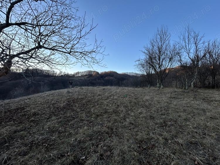 Teren de 4000 mp, în Gurguiata