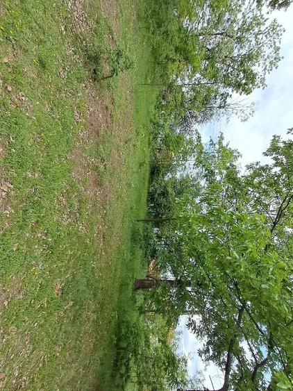 Teren de 2800 mp, în Periferie