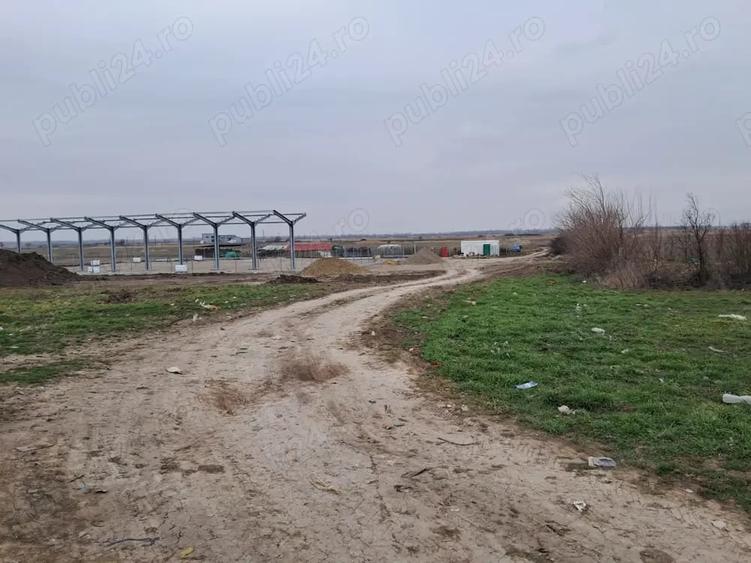 Vand trei loturi de teren Branistea, Galati 756 m2 fiecare, intravilan - 5