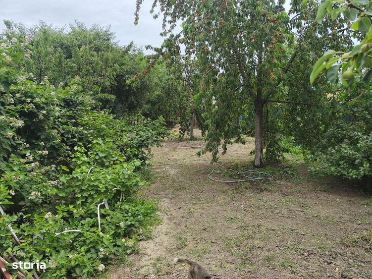 Casă cu 3 camere cu Teren 540 Mp în Bujac