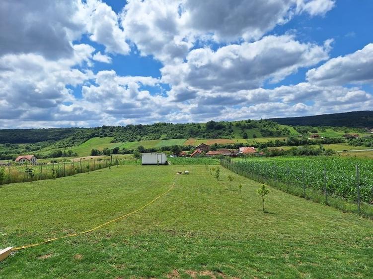 Teren de 1830 mp, în Băile Felix