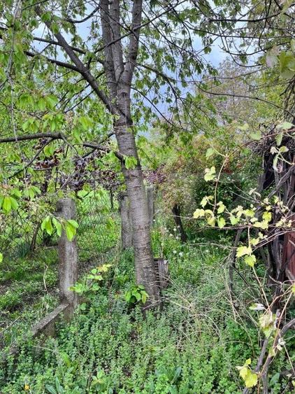 Casă individuală cu 2 camere cu Teren 714 Mp în Siret