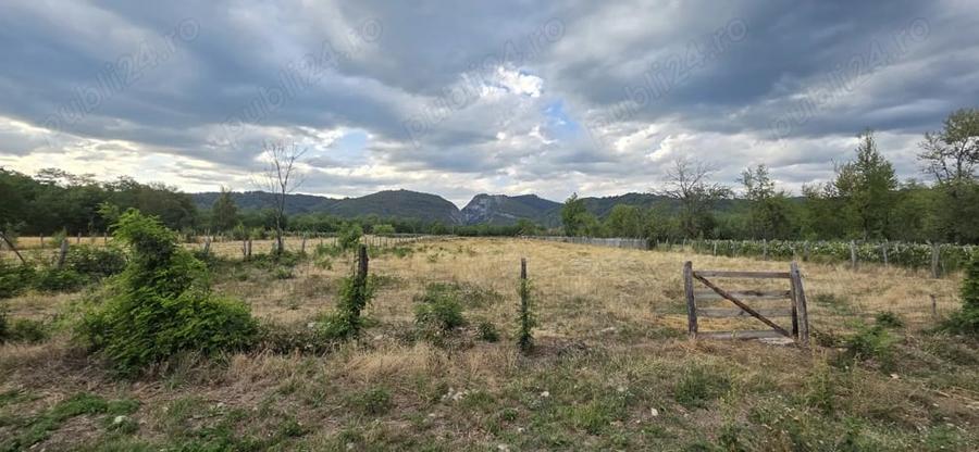 Teren de 8510 mp, în Polovragi