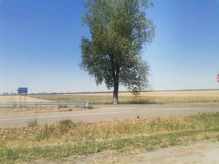 Teren de 22500 mp, în Central