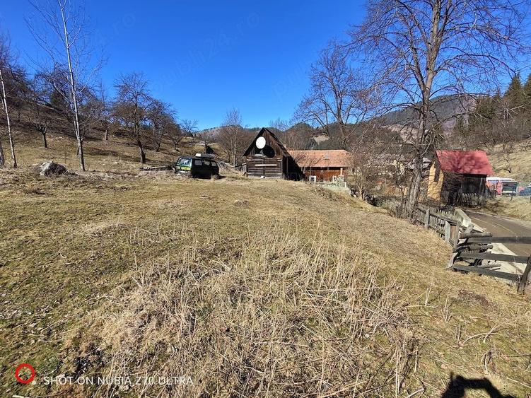 Teren de 8000 mp, în Pojorâta