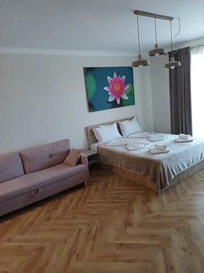 Garsonieră nedecomandată în Băile Felix