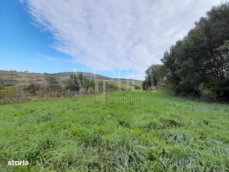 Teren intravilan agricol de vanzare in Betfia Bihor , Oradea - 3