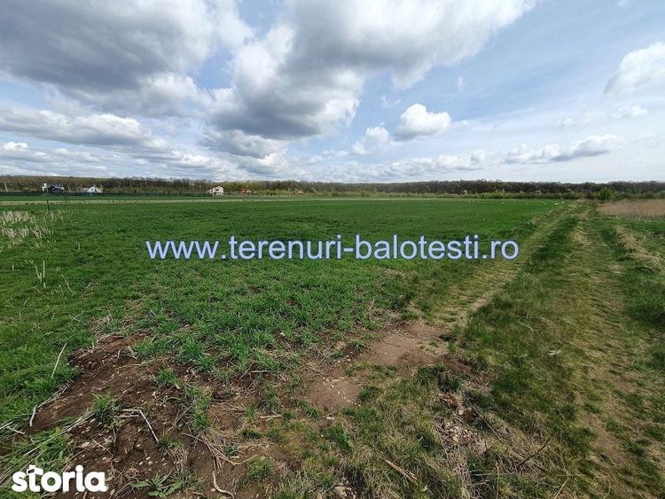 Teren de 800 mp, în Balotești