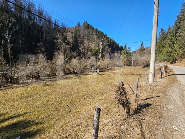 Teren Construcții intravilan de 2690 mp, în Gârda de Sus