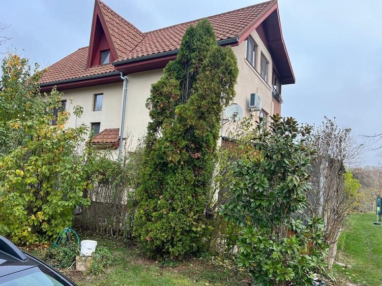 Teren Construcții intravilan de 8000 mp, în Ghermănești