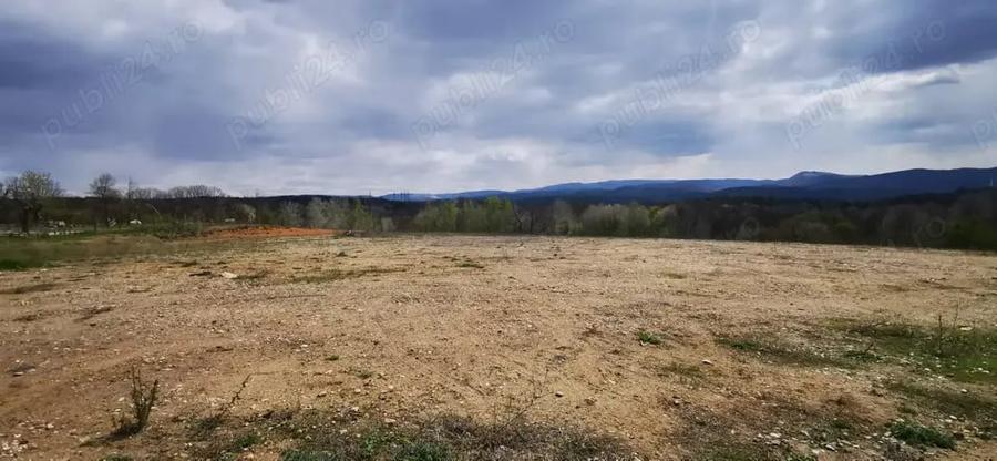 Teren de 26500 mp, în Calea Caransebeșului