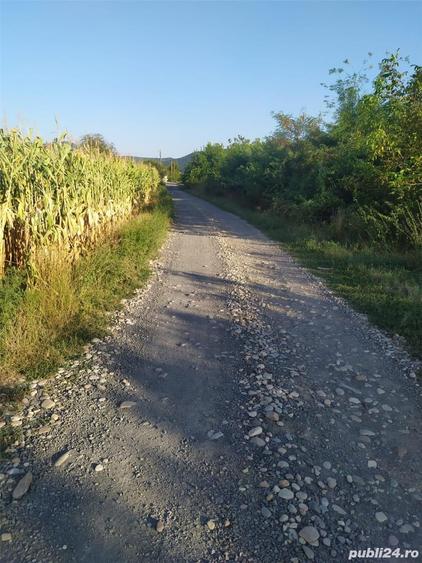 Teren de 2000 mp, în Brănișca