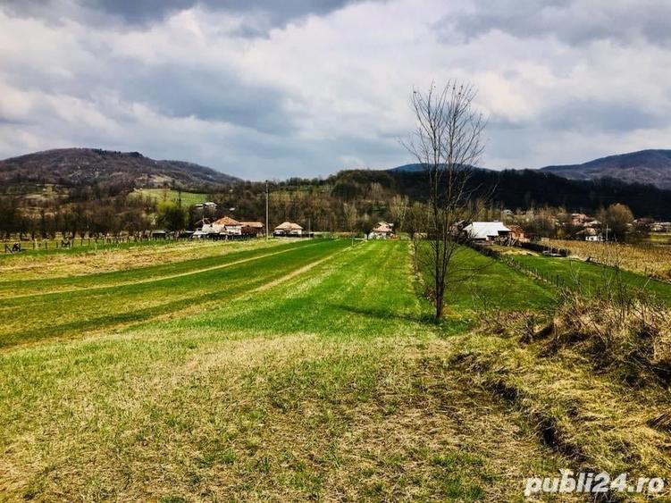 Teren de 5000 mp, în Central
