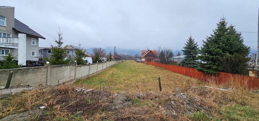 Teren Construcții intravilan de 3903 mp, în Dărmănești