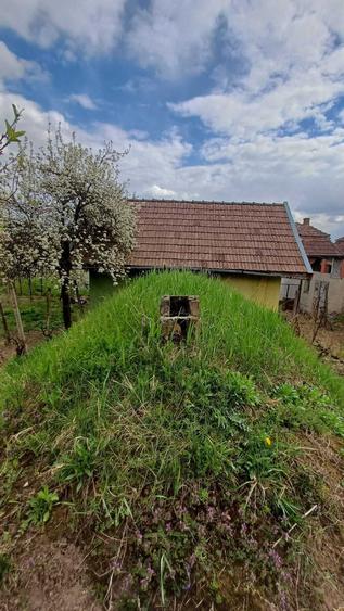 Casă în Petreu