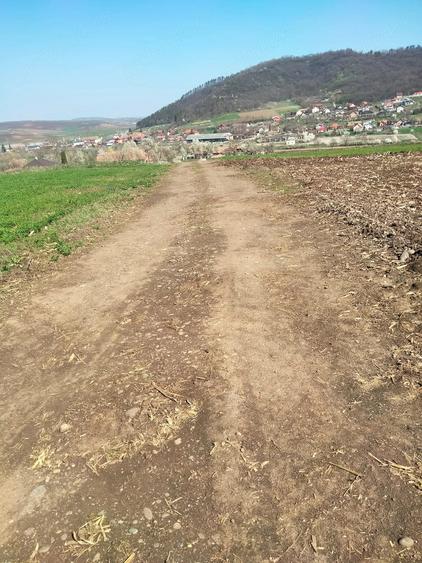 Teren de 3300 mp, în Râciu