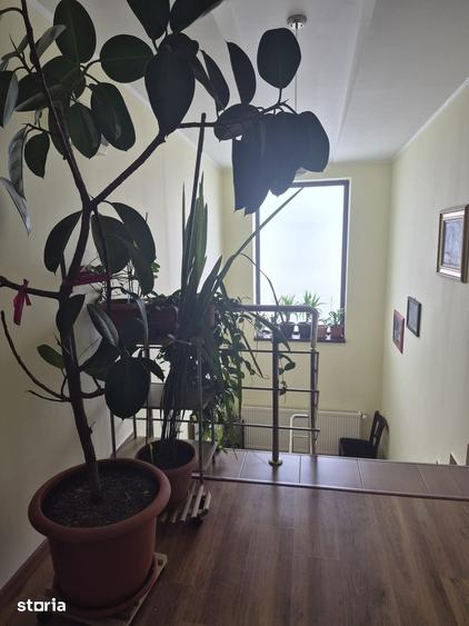 Casă cu 5 camere cu Teren 700 Mp în Malu Mare