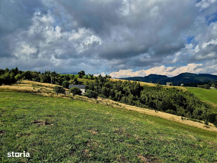 TEREN EXTRAVILAN DE VANZARE PE?TERA, MOECIU- INVESTI?IE CU POTEN?IAL - 4