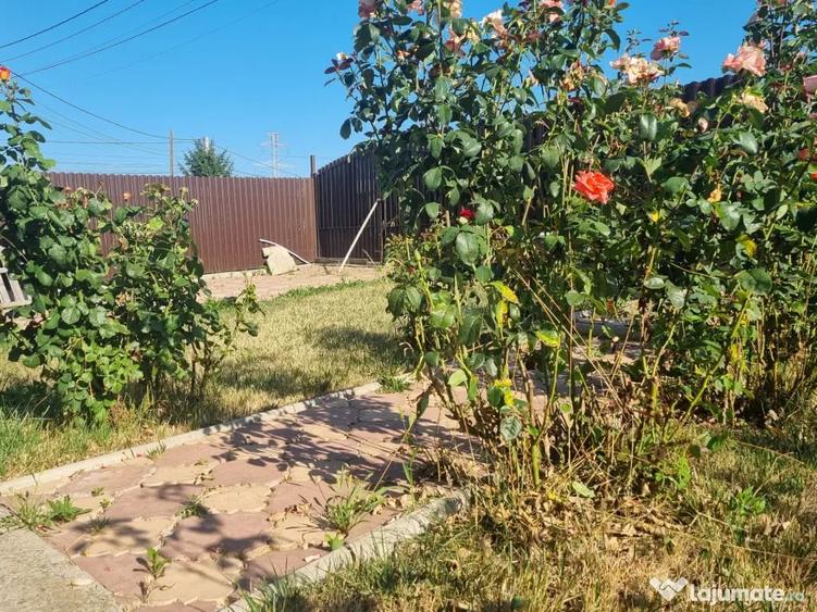 Casă cu 3 camere cu Teren 380 Mp în Letea