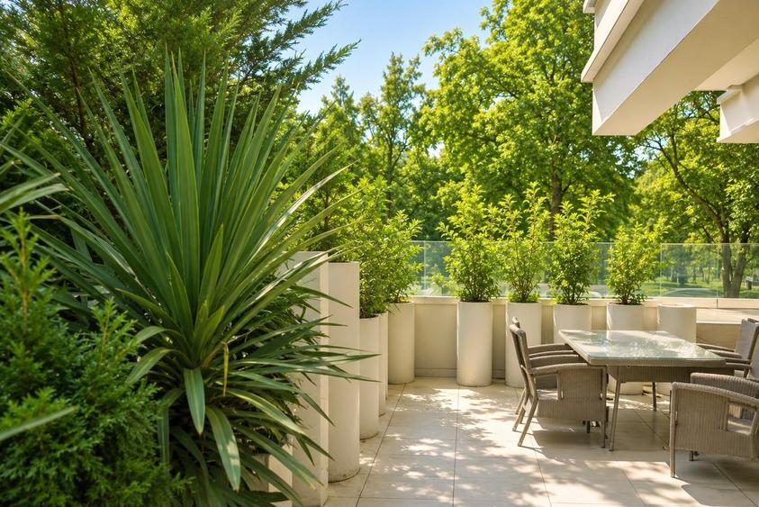 Apartament cu 5 camere în Șoseaua Nordului