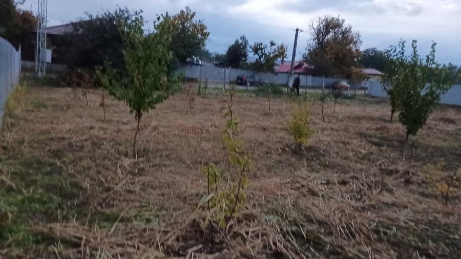 Teren în Central