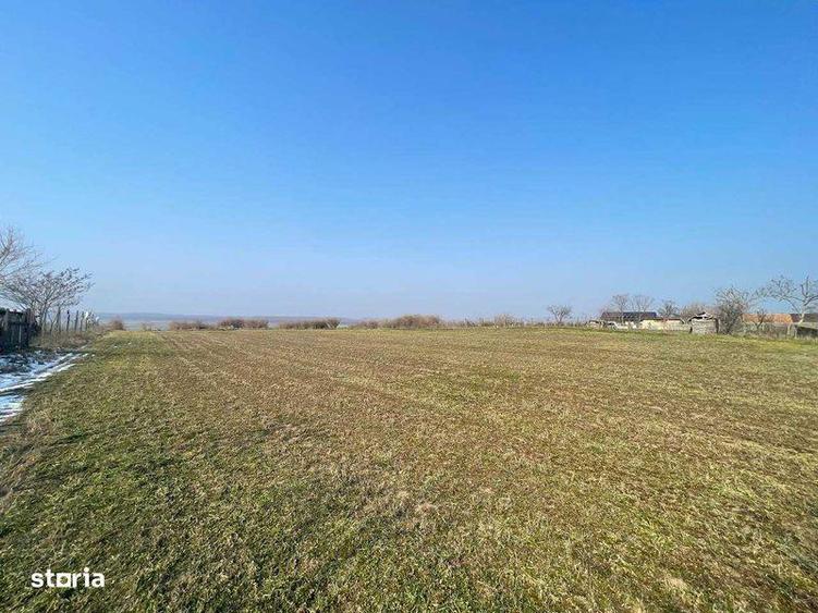 Teren de 3802 mp, în Dăeni