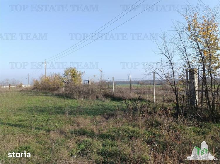Teren de 8050 mp, în Gruiu
