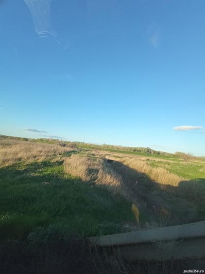 Teren de 5000 mp, în Drânceni