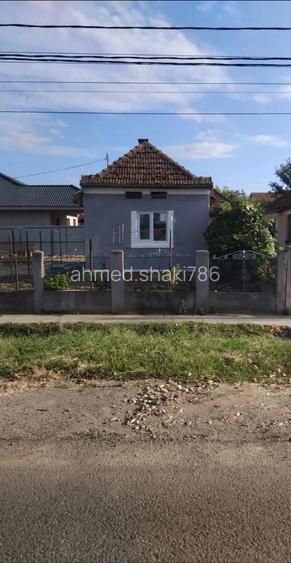 Vand casa in Petin Satu Mare