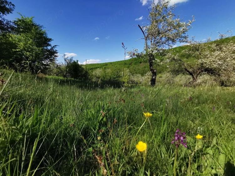 Teren de 680 mp, în Budeasa