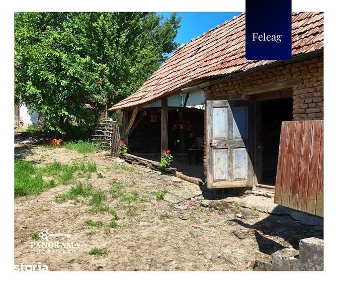 Casă cu 3 camere cu Teren 1590 Mp în Vânători
