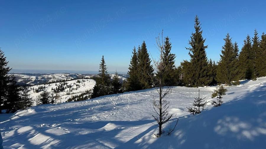 Teren de 700 mp, în Măguri