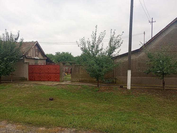 Casă cu 2 camere în Dorobanți