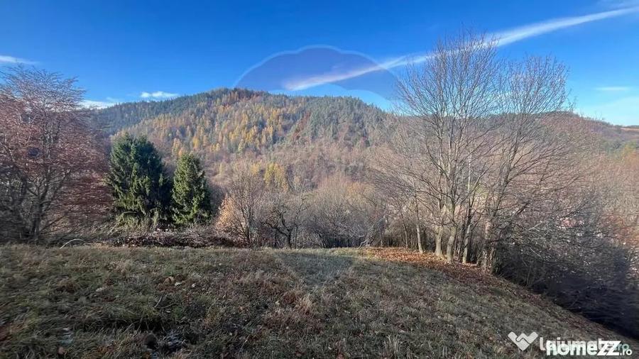 Teren Colinar Panoramic 17.684 mp in Scheii Bra?ovului - 2