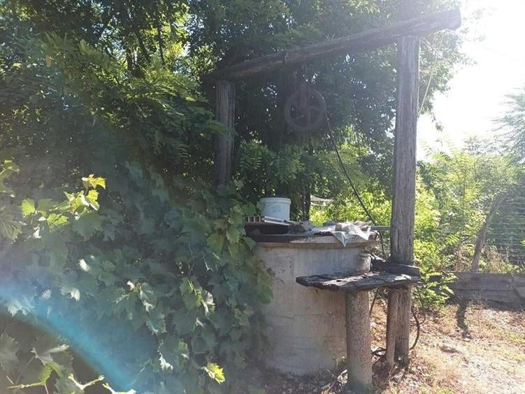Casă individuală cu 3 camere cu Teren 12000 Mp în Goicea
