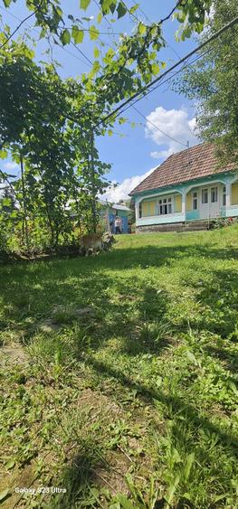 Casa de vanzare Ferastrau-Lesunt - 5