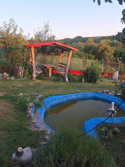 Casă cu Teren 601 Mp în Comana