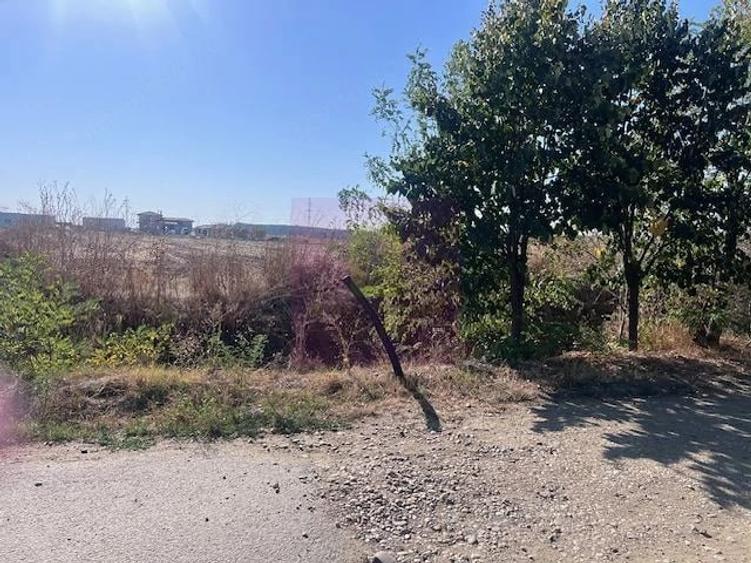 Teren de 6200 mp, în Cornetu