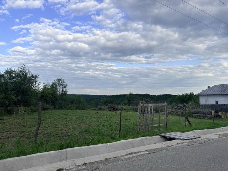 Teren de 3000 mp, în Băbana