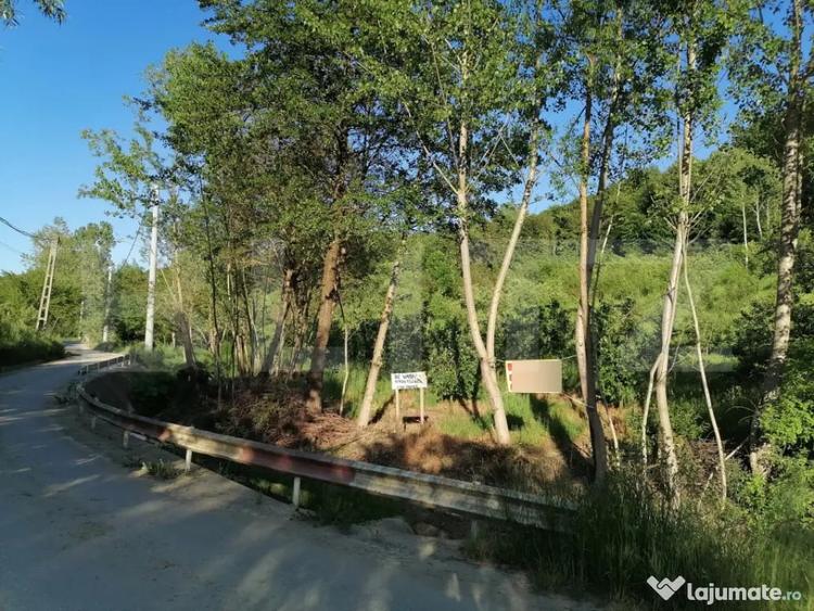 Teren de 14400 mp, în Gemenea-Brătulești