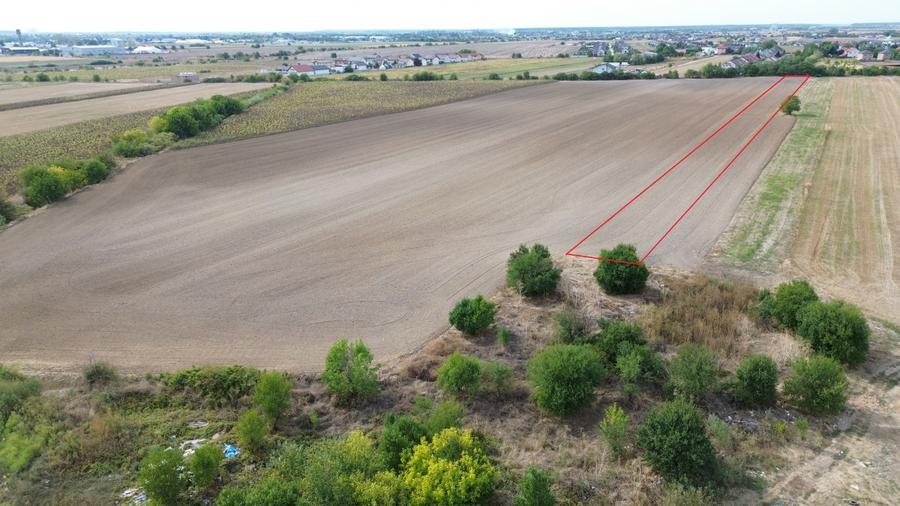 Teren Construcții intravilan de 6000 mp, în Dârza