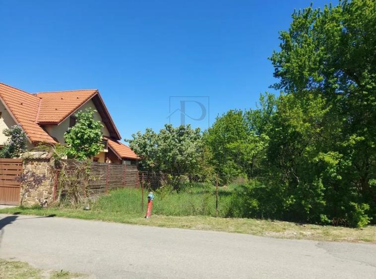 Teren Construcții intravilan de 550 mp, în Plopi