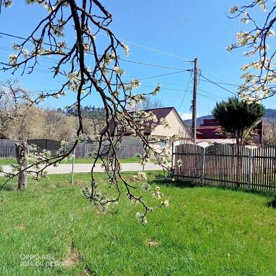 Teren de 2030 mp, în Tărlungeni