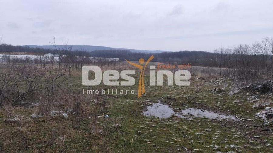 Teren de 7500 mp, în Central