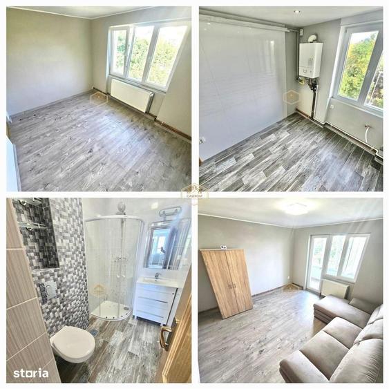 Apartament cu 2 camere decomandat în Botizului