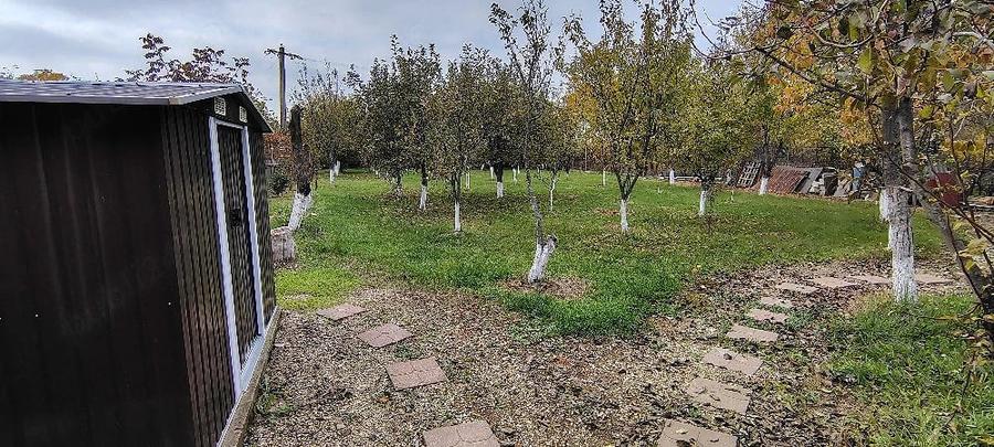 Casă cu 3 camere cu Teren 2000 Mp în Central