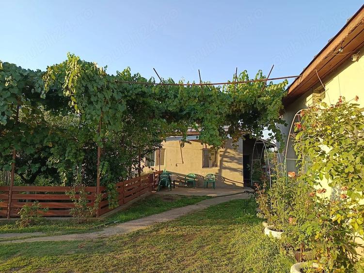 Casă cu 3 camere cu Teren 2200 Mp în Broșteni (Vișina)